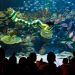 Aquaria KLCC via Travelmalaysia