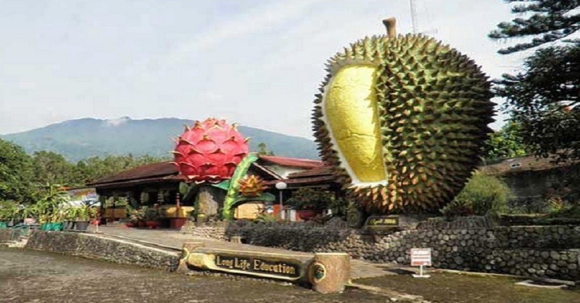 79 Tempat Wisata Di Bogor Jawa Barat Paling Hits Yg Wajib Dikunjungi
