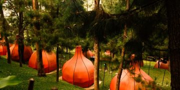 Hutan Pinus Maribaya ia Yourbandung