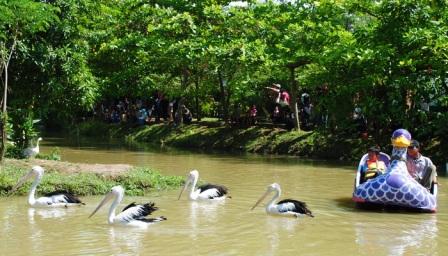 Kampoeng Wisata Taman Lele 