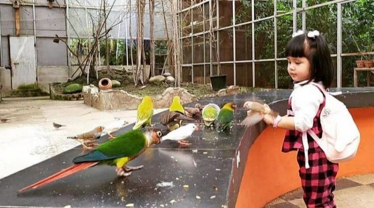 Palembang Bird Park