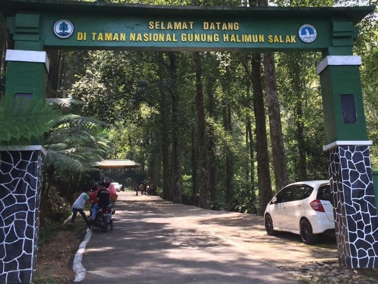 Taman Nasional Gunung Halimun Salak Sukabumi