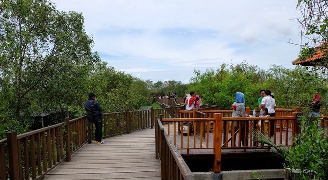 Wisata Hutan Mangrove Wonorejo