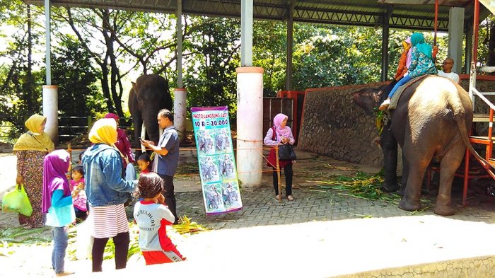 Wisata Kebun Binatang Mangkang di Semarang via Tribun Jateng