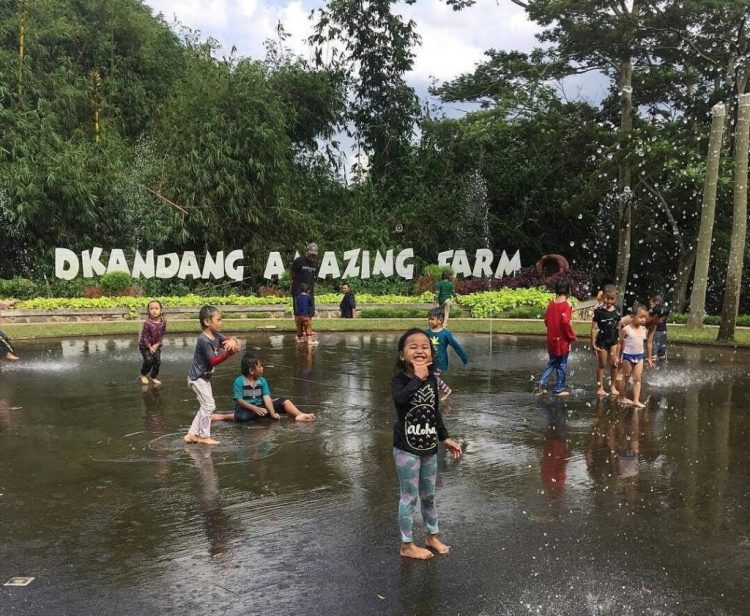 D'Kandang Amazing Farm Depok