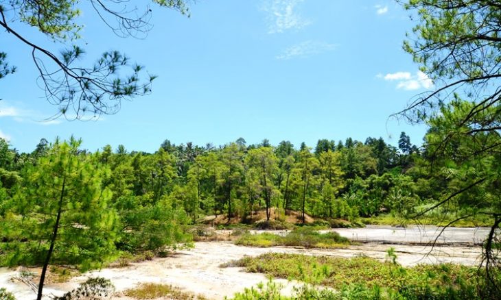 Hutan Lahendong via Amazingtomohon