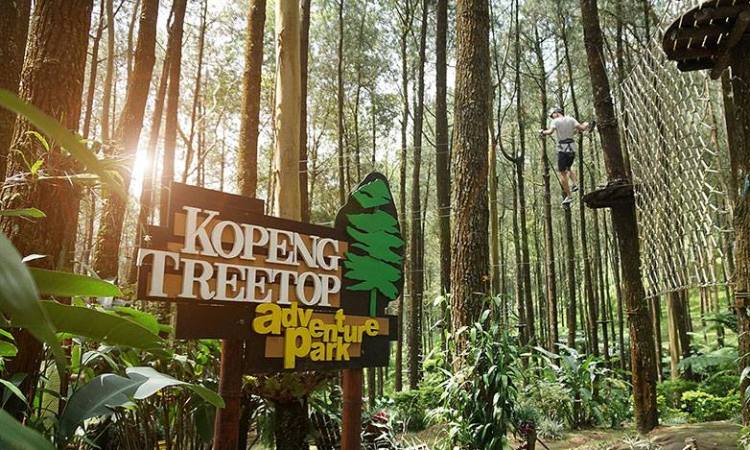 Kopeng Treetop Adventure via Twitter Tamboid