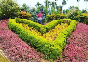 The Le Hu Garden Medan