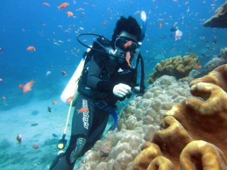 Scuba Diving Tanjung Benoa