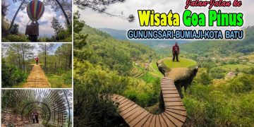 Goa Pinus via Youtube