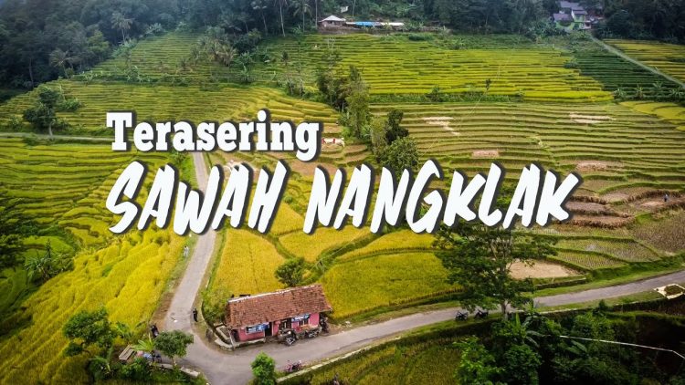 Terasering Sawah Nangklak via Youtube Apri Subroto
