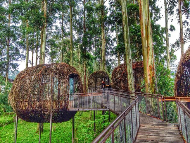 Rumah Makan Lutung Kasarung Dusun Bambu Lembang