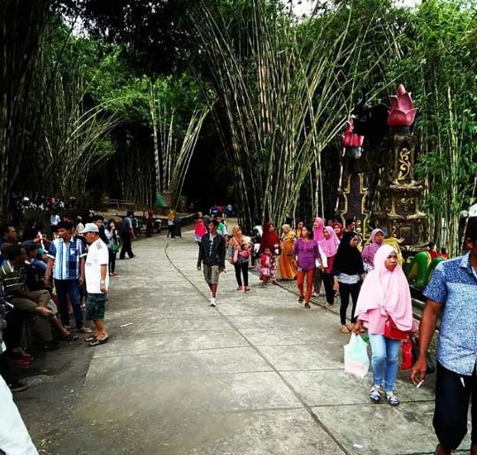 Wisata Hutan Bambu Lumajang
