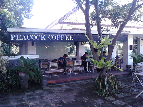 Peacock Coffee Jogja