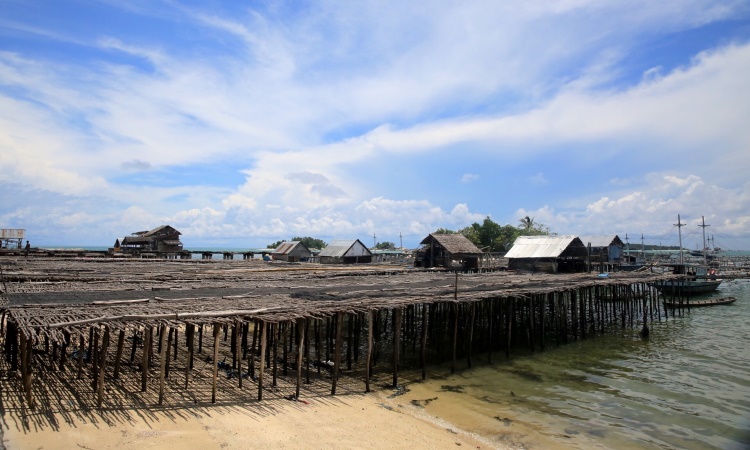 Desa Nelayan