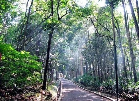 Taman Hutan Raya Banten