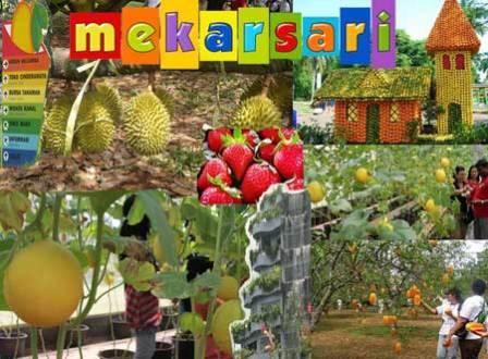 Taman Buah Mekarsari - Tempat Wisata di Cibubur