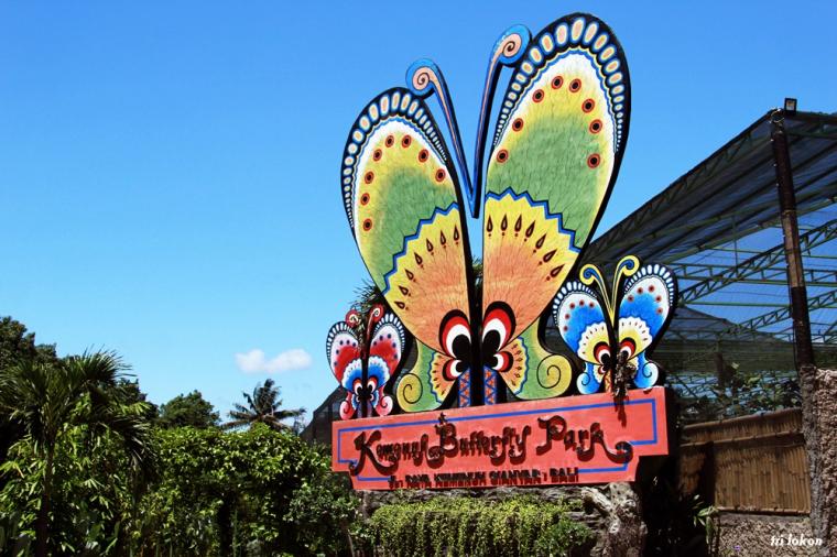 Taman Kupu-Kupu Kemenuh tempat wisata di Bali Tengah