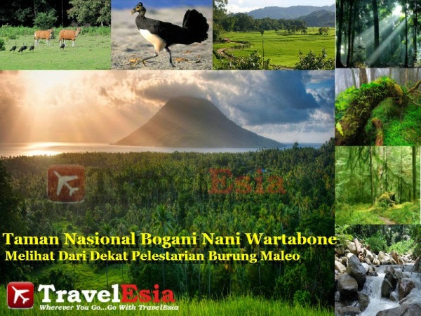 Taman Nasional Bogani Nani Wartabone Gorontalo