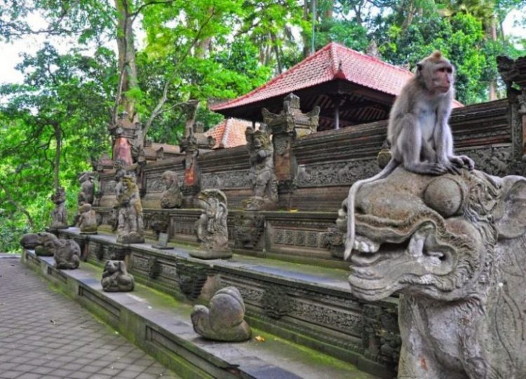 Ubud Monkey Forest tempat wisata di Bali Tengah