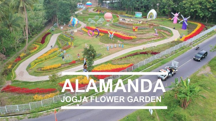 Alamanda Jogja Flowers Garden via Youtube Lintaryogi