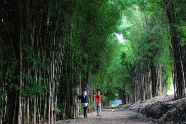 Hutan Bambu Surabaya via HumasSurabaya