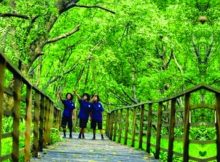 Taman Suaka Margasatwa Muara Angke via Basecamppetualang