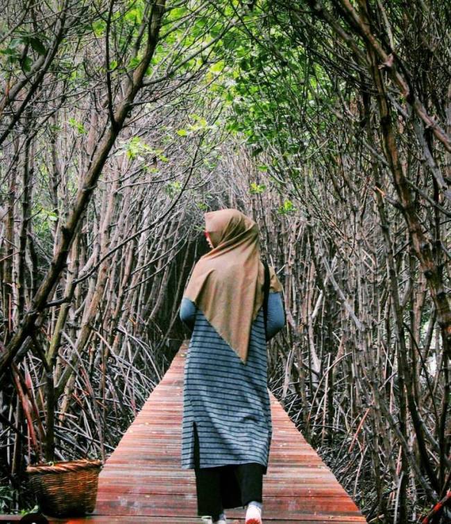 Hutan Mangrove Kaliwlingi via @fitrianingsih18