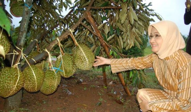 Wisata Edukasi Watu Simbar via Jurnalasiacom