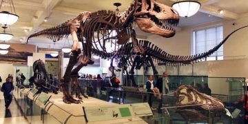 Museum Zoologi Bogor