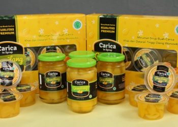 Carica via caricagemilangcom