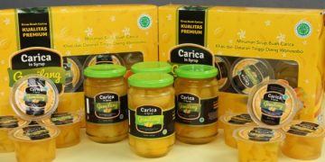 Carica via caricagemilangcom