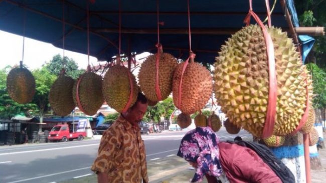 Durian via Tribunnews