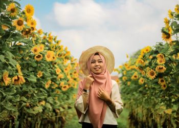 Kebun Bunga Matahari Rempoah via Aamriyanto.blogspotcom