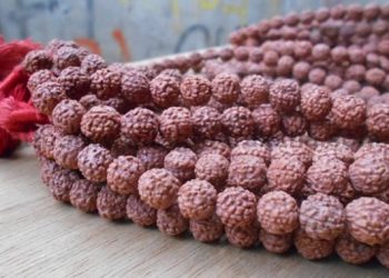 Souvenir Biji Jenitri via PusakaPusakacom