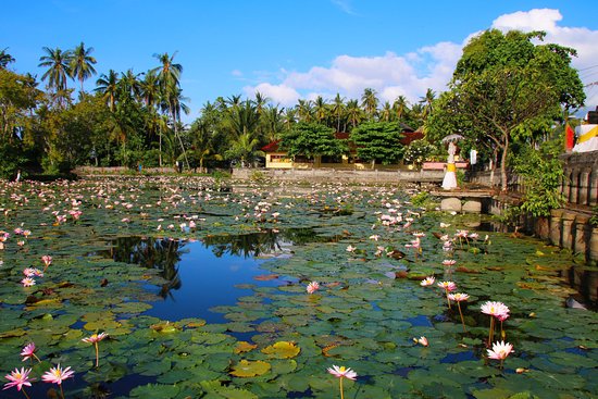 Lotus Lagoon Candidasa