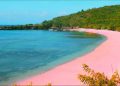 Wisata Pantai Pink