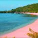 Wisata Pantai Pink