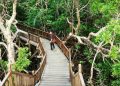 Taman Wisata Mangrove Sukadana via Gpswisataindonesia