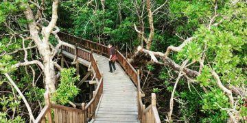 Taman Wisata Mangrove Sukadana via Gpswisataindonesia