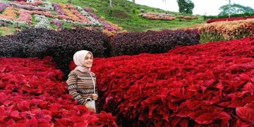 Puncak Tonang via Viskrenus