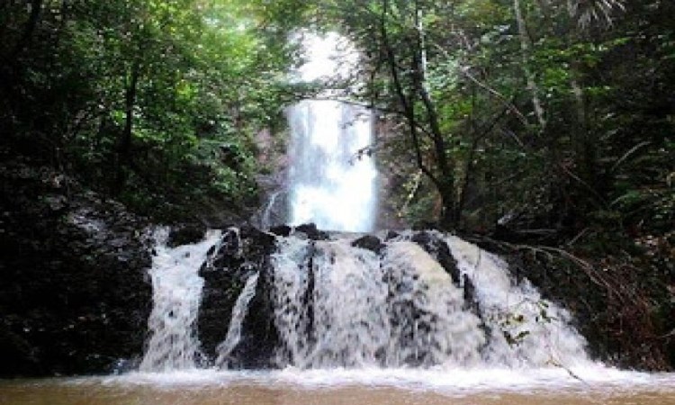 Air Terjun Anak Sungai Kandi via Kuansinggoid