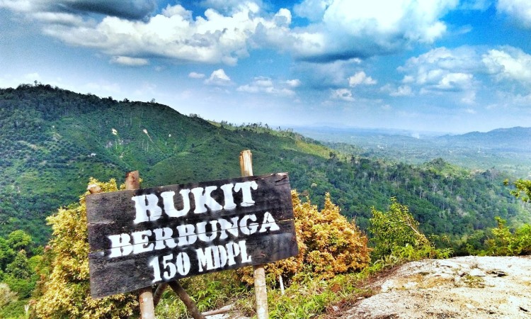 Bukit Berbunga via Andrresaputra7.blogspotcom