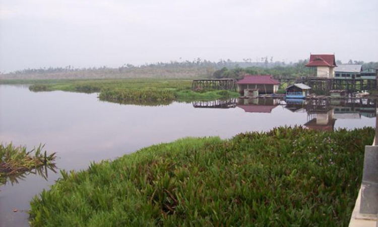 Danau Napangga via Wahanariau