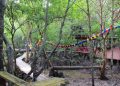 Hutan Mangrove via Riaumagz
