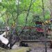 Hutan Mangrove via Riaumagz