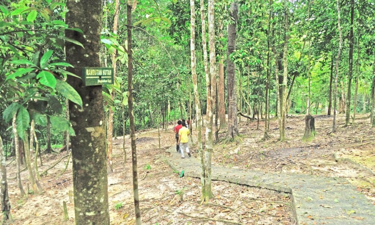 Hutan Wisata Dumai via Menyapariau