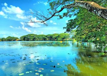 Wisata Alam Danau Raja via Menyapariau