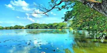 Wisata Alam Danau Raja via Menyapariau