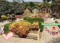 Rumah Makan Saung Situ via Youtube